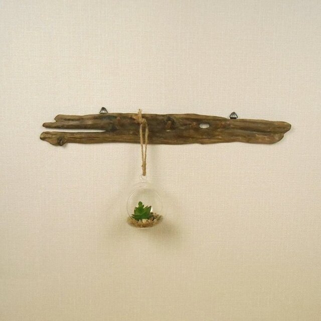 【温泉流木】口を開けた古代魚のような形のおもしろ壁掛けフック キッチンフック 流木インテリアの画像1枚目