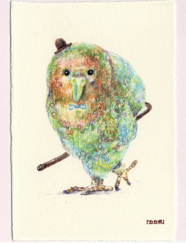 2.『カカポ』(4枚セット)の画像1枚目