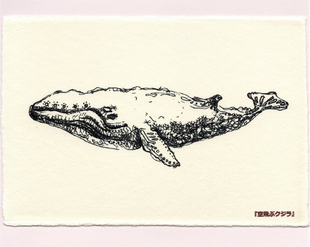 6.『空飛ぶクジラ』(4枚セット)の画像1枚目