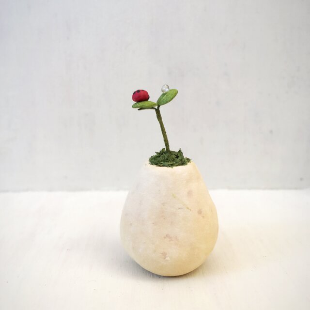 2804.bud 粘土の鉢植えにてんとう虫の画像1枚目