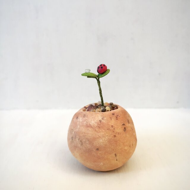 2805.bud 粘土の鉢植えにてんとう虫の画像1枚目