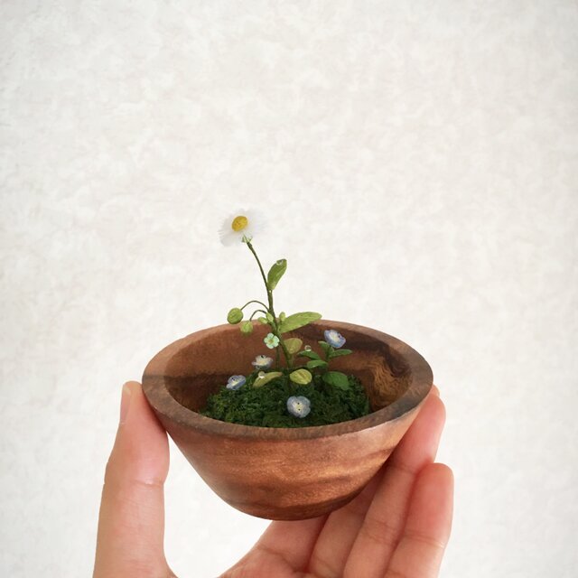 2812.bud 箱庭 野の花の画像1枚目