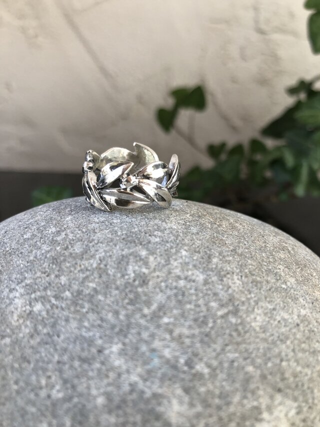 そよぐ葉〜光沢の画像1枚目