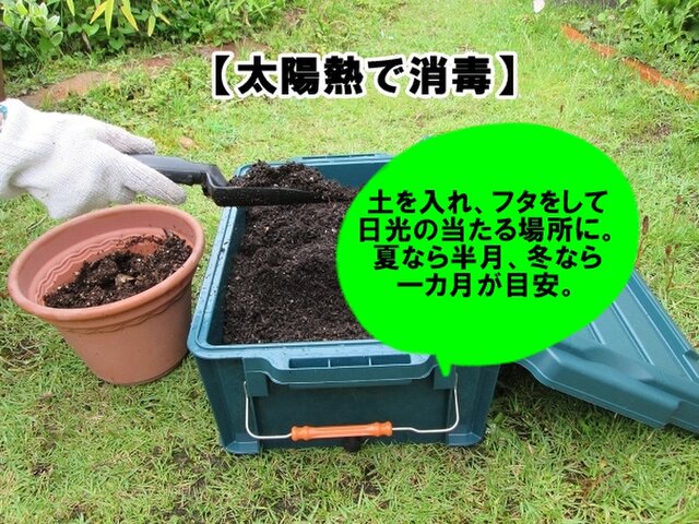 簡単に古い土を再生し再利用する容器 手軽に無農薬で病原菌や害虫を消毒する方法 再生材 Iichi ハンドメイド クラフト作品 手仕事品の通販