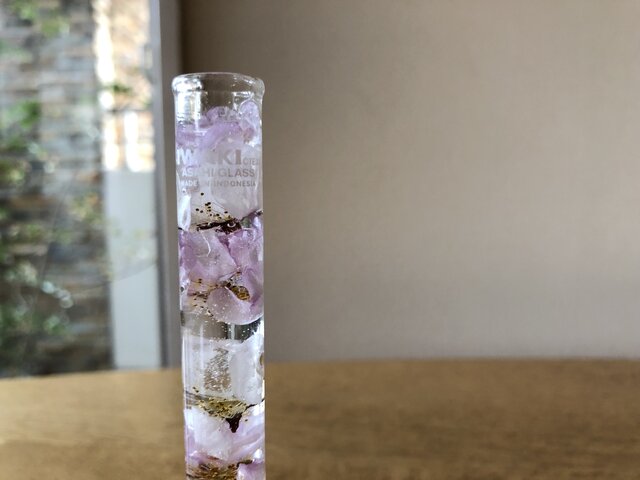 ハーバリウム/春爛漫 | iichi 日々の暮らしを心地よくするハンドメイド