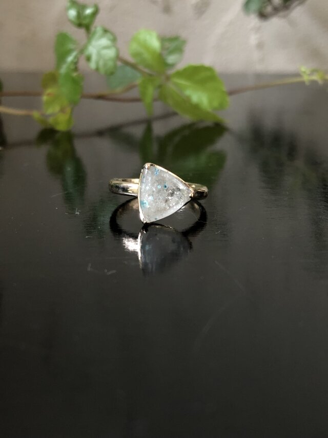 白いトリリアントの画像1枚目