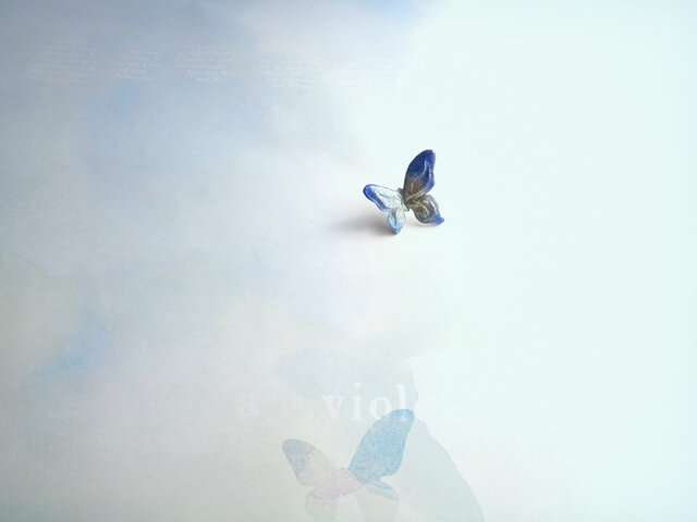 a violet 684の画像1枚目