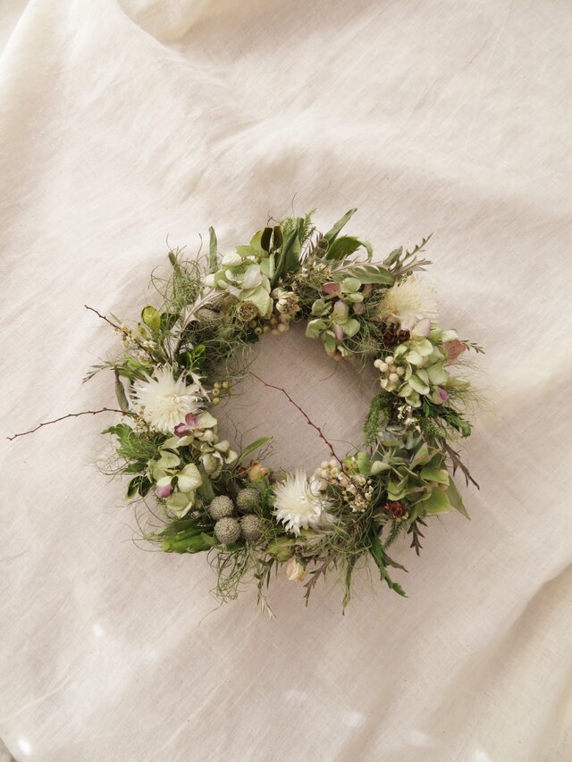 紫陽花とシンカルファのリース