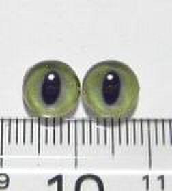 にゃんこのおめめ○半球グラスアイ○猫目○8mm○08050