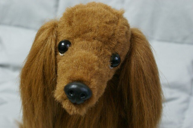 HUMAN MADE ダックスフンド ぬいぐるみ HUMAN MADE ダックスフンド ぬいぐるみ Amazon.co.jp: Carl Dick