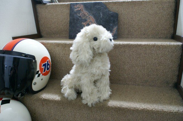 マルプーのぬいぐるみ | iichi 日々の暮らしを心地よくする