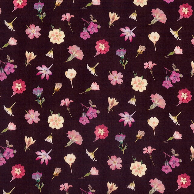 Ｋさまオーダー