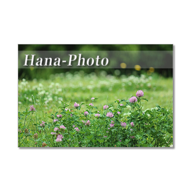 1351 花のある風景 1 ポストカード5枚組 Iichi ハンドメイド クラフト作品 手仕事品の通販