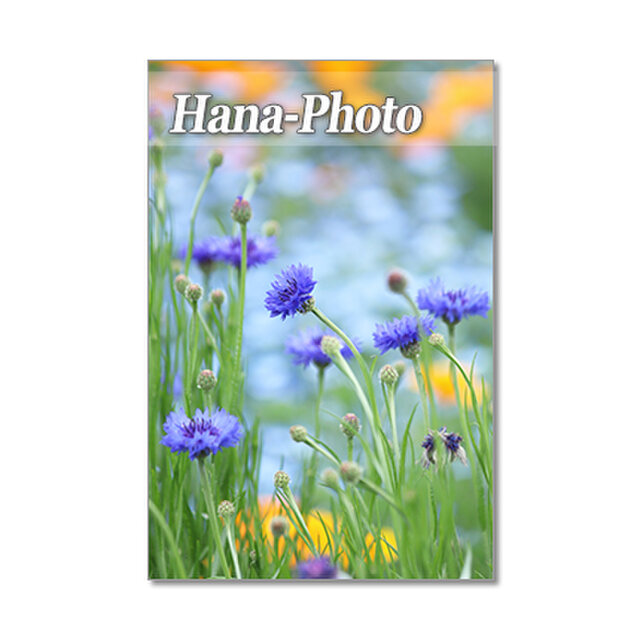 1351）花のある風景 1 ポストカード5枚組 | iichi ハンドメイド