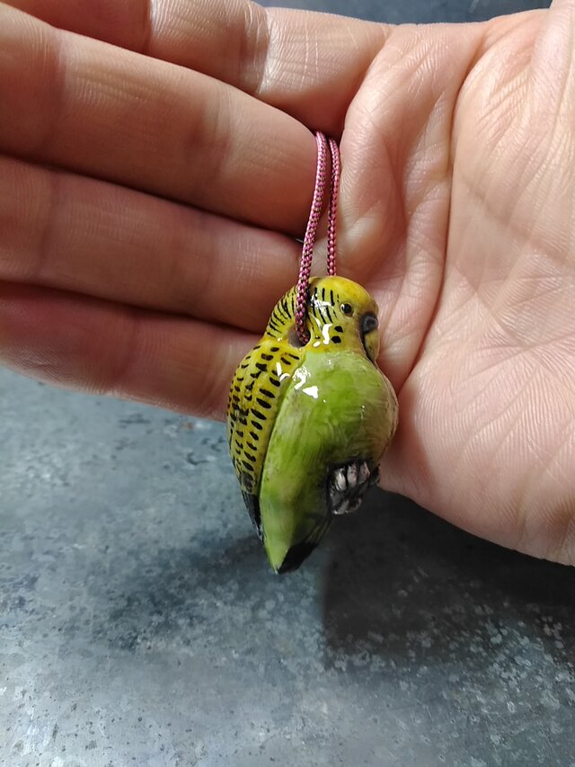 琦 セキセイインコの画像1枚目