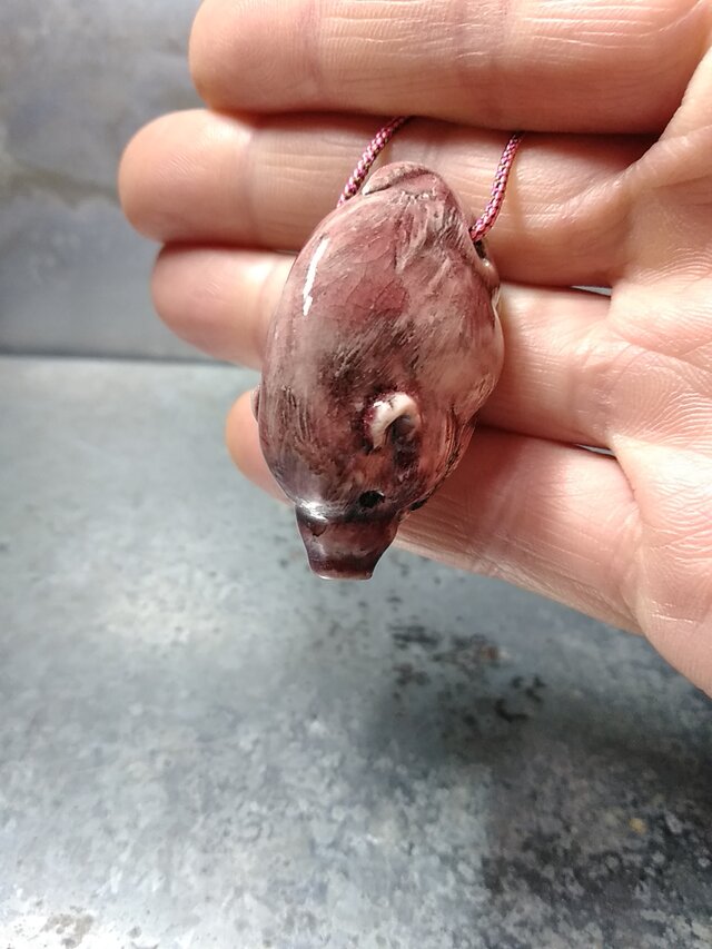 琦 イノシシの画像1枚目