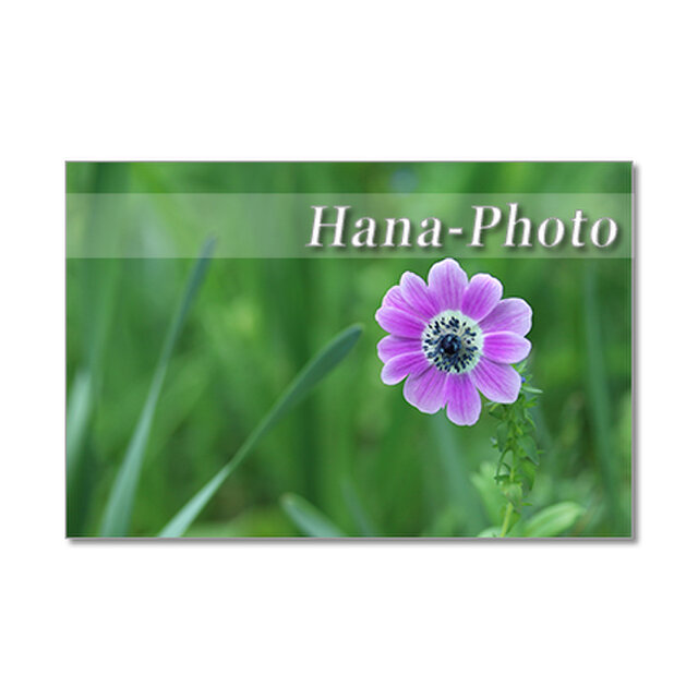 1352 花のある風景 2 ポストカード5枚組 Iichi ハンドメイド クラフト作品 手仕事品の通販