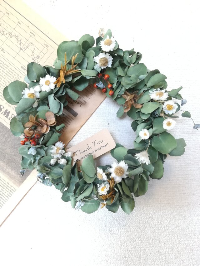 [送料無料]ドライフラワーリース◆ユーカリと、