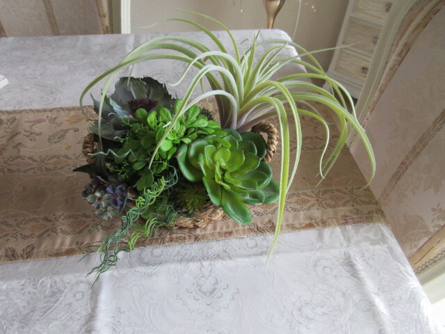 かごの中の多肉植物の画像1枚目