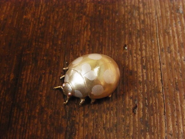 セミオーダ【てんとう虫】 | iichi 日々の暮らしを心地よくするハンドメイドやアンティークのマーケットプレイス