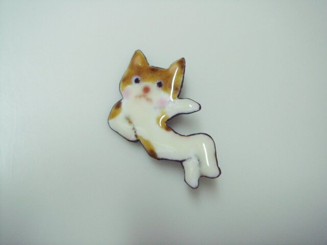 七宝 猫ちゃんシャッターチャンスの画像1枚目