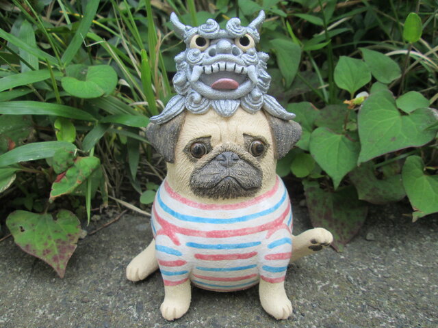 シーサー被ってみたよ☆パグ① | iichi 日々の暮らしを心地よくする