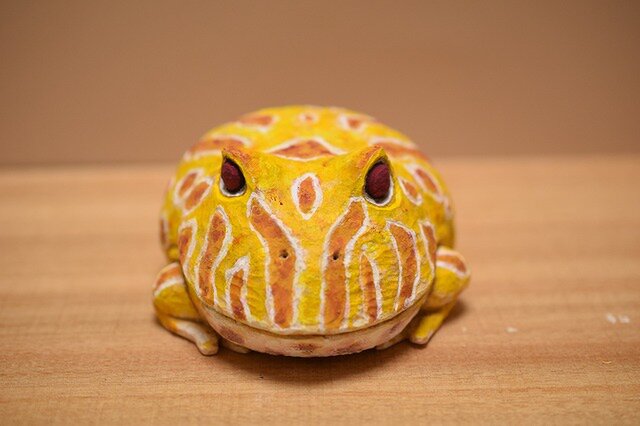 カエルの画像1枚目