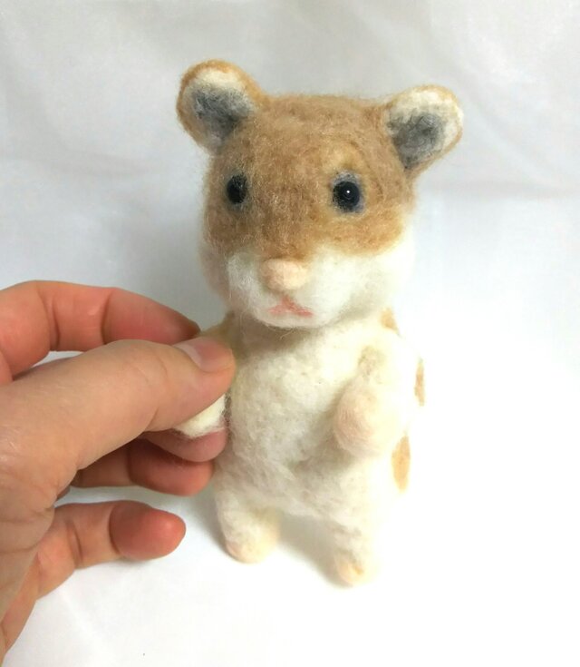 ゴールデンハムスターの画像1枚目