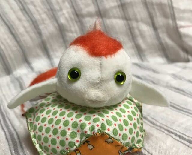 金魚ちゃん(さらさ)の画像1枚目