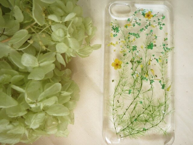 iPhone5【ガーデンピクニック】グリーン系の画像1枚目