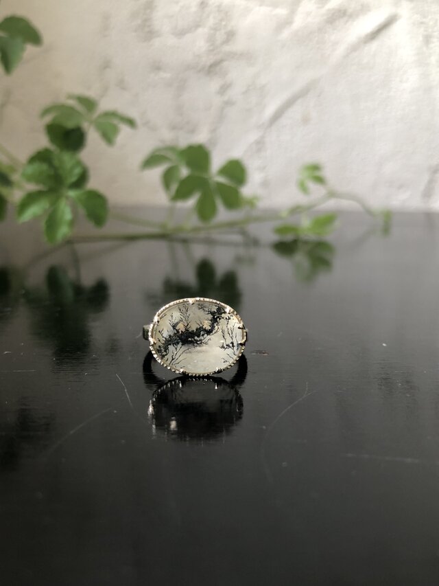 日本列島ですか、デンドリティックさんの画像1枚目