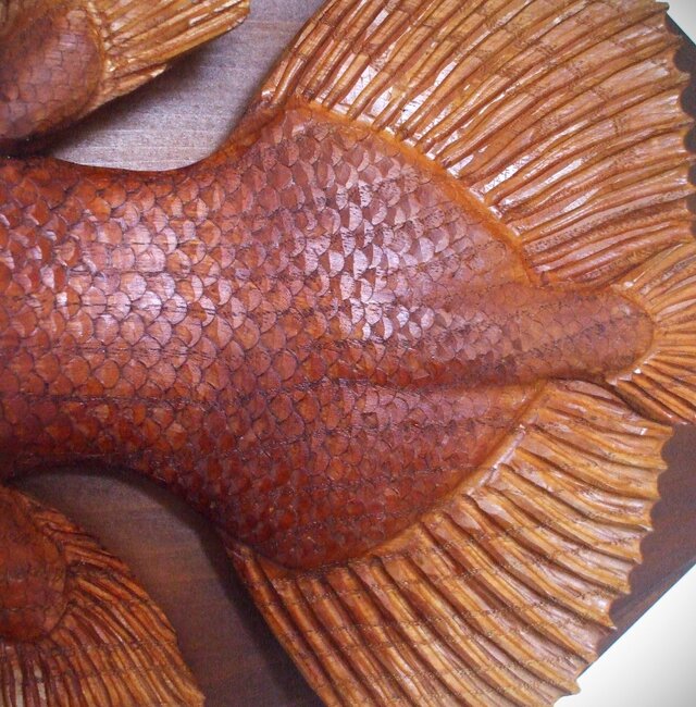 【美品】61cm シーラカンス（樹脂製）fish craft REAL製作 美品】61cm シーラカンス（樹脂製）fish craft REAL製作
