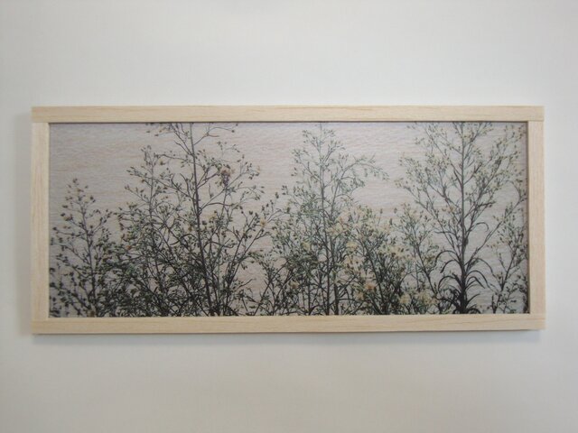small flowerの画像1枚目