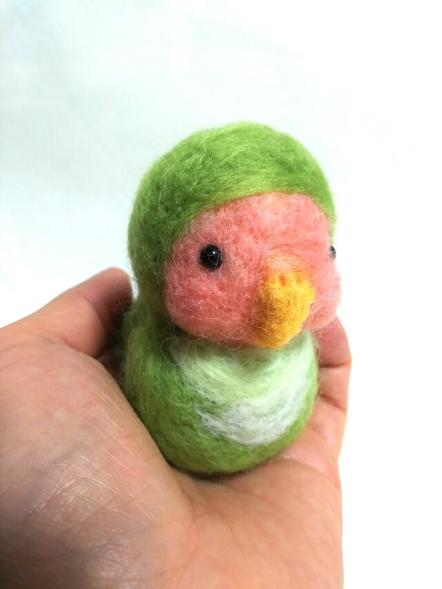まあるい小桜インコの画像1枚目