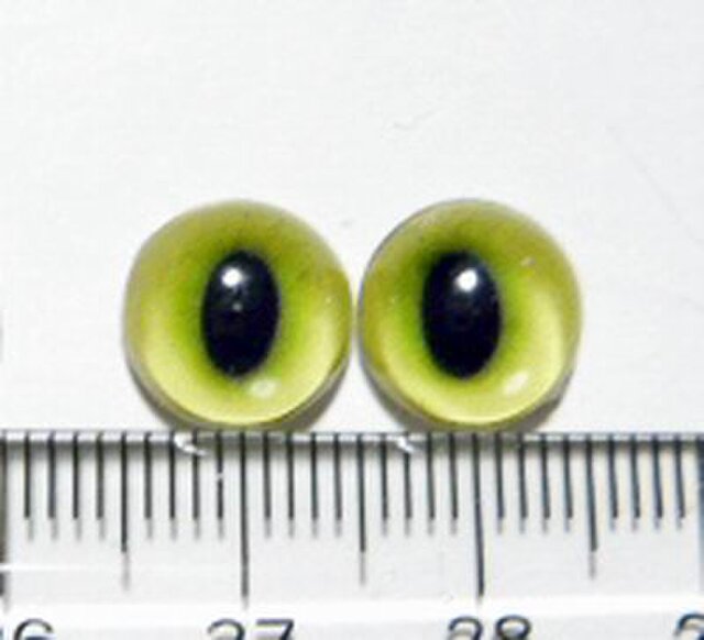 にゃんこのおめめ○半球グラスアイ○猫目○10mm○10687の画像1枚目