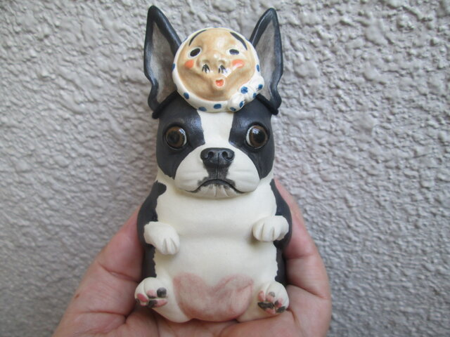 ひょっとこお面被り★ボストンテリア①の画像1枚目