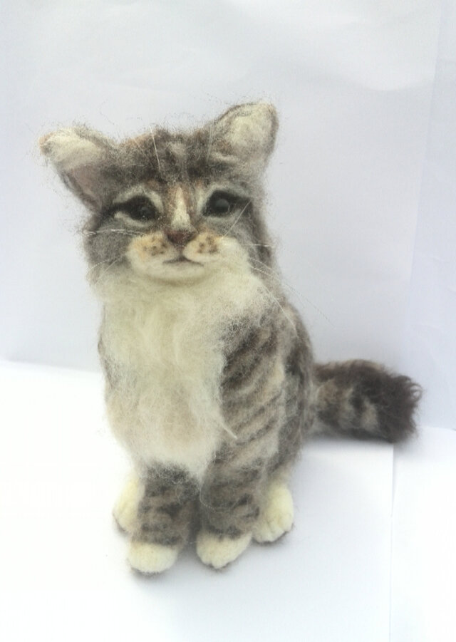 羊毛フェルトのラガマフィン子猫の画像1枚目