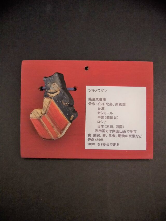 木彫り 『RED』ツキノワグマ ブローチ《本開きVer.1》の画像1枚目