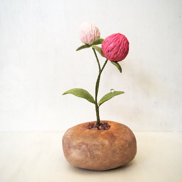 3136.bud 粘土の鉢植え センニチコウの画像1枚目