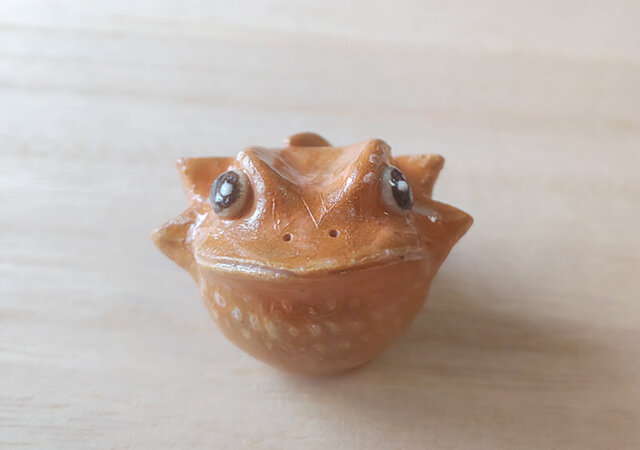 ちびフトアゴヒゲトカゲ*オレンジの画像1枚目