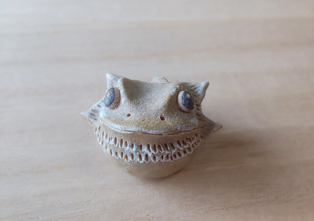 ちびフトアゴヒゲトカゲ*グレーベージュの画像1枚目