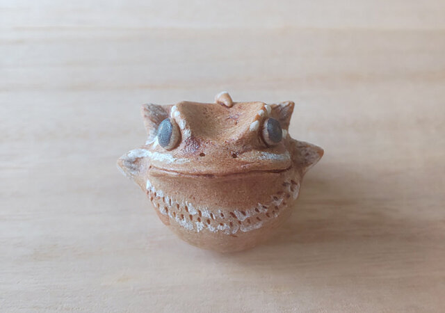 ちびフトアゴヒゲトカゲ*ゼロ茶色の画像1枚目