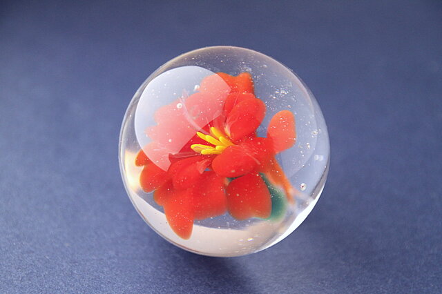 flower Marble(カンナ)の画像1枚目