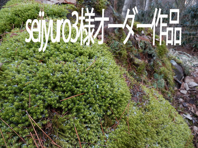 atelier blugra八ヶ岳〜 seijyuro3様オーダー作品の画像1枚目
