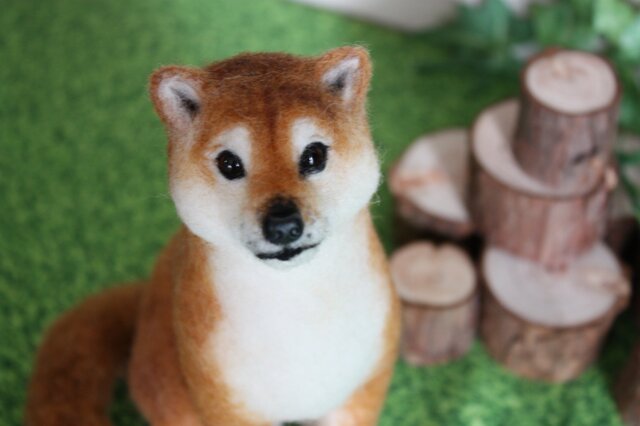 唯一無二の君。。。柴。。。羊毛フェルトの画像1枚目