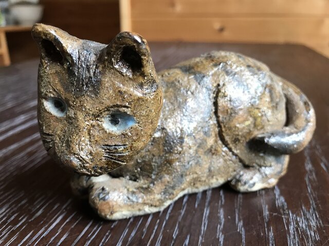 奥目な猫の画像1枚目