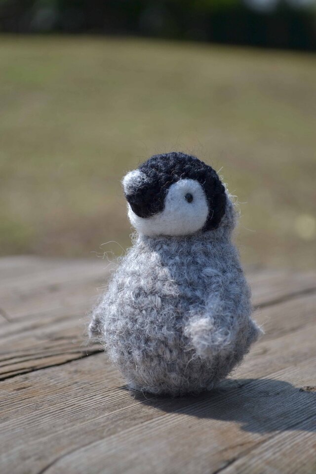 おきあがりペンギンの画像1枚目