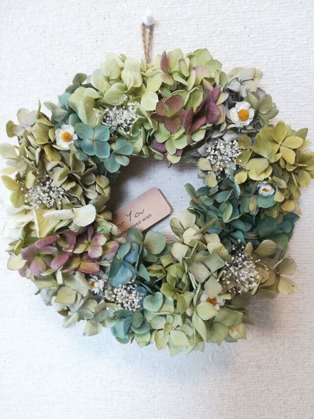 [送料無料]ドライフラワーリース◆あじさいと白いお花と、