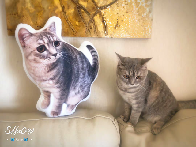 ✩オーダーメイド 45cm✩　ワンちゃん、猫ちゃんのオーダークッション