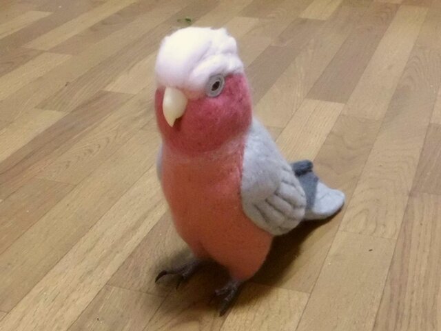 ライフサイズ モモイロインコ 羊毛インコ 受注作成 工房小鳥屋さん